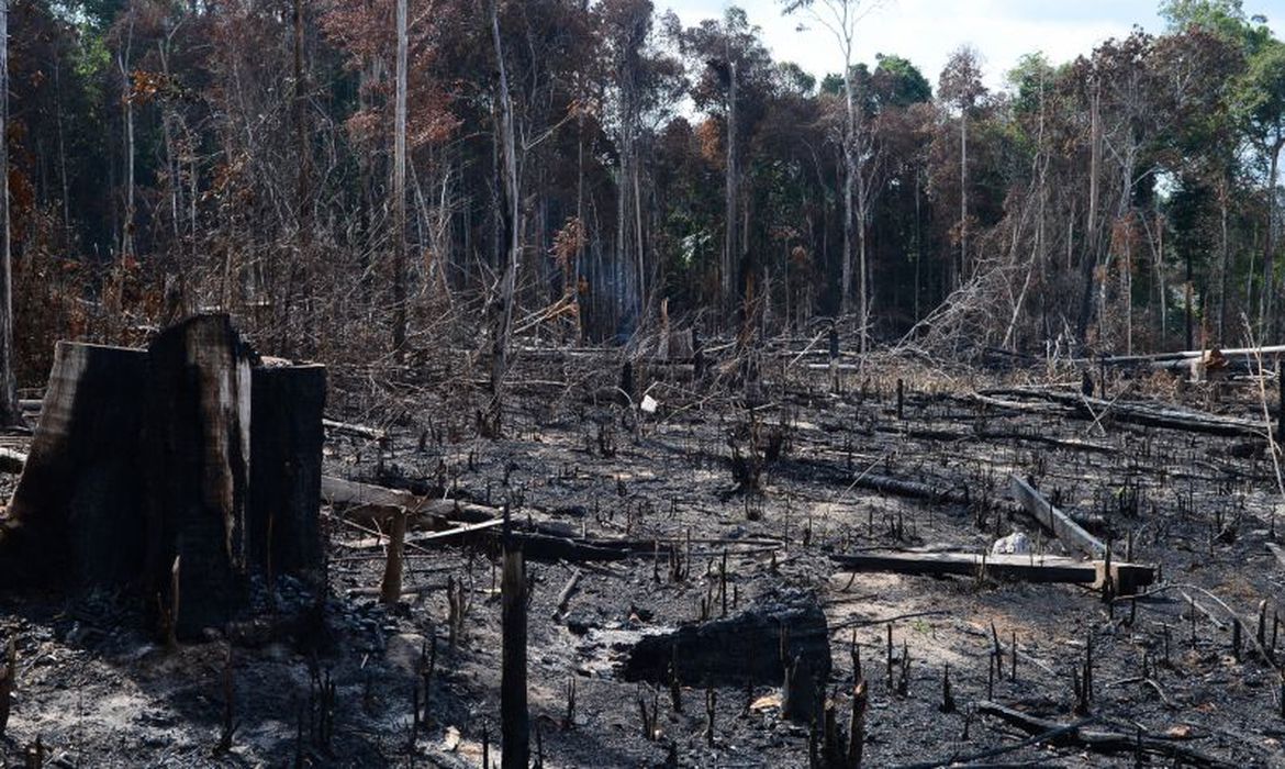 MEIO AMBIENTE: AGU cobra R$ 1,3 bilhão por desmatamento na Amazônia Legal