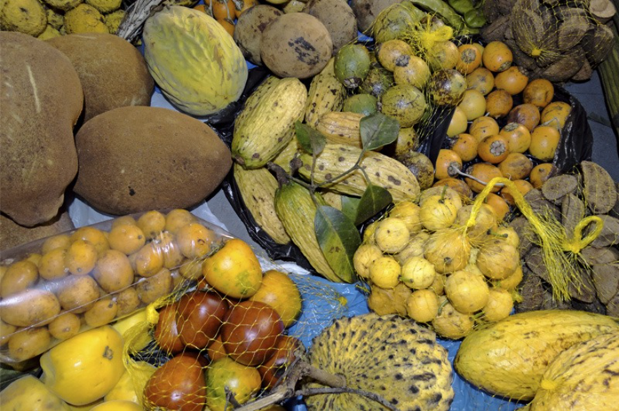 NATURAL: Embrapa desenvolve produto para sucos de frutas amazônicas