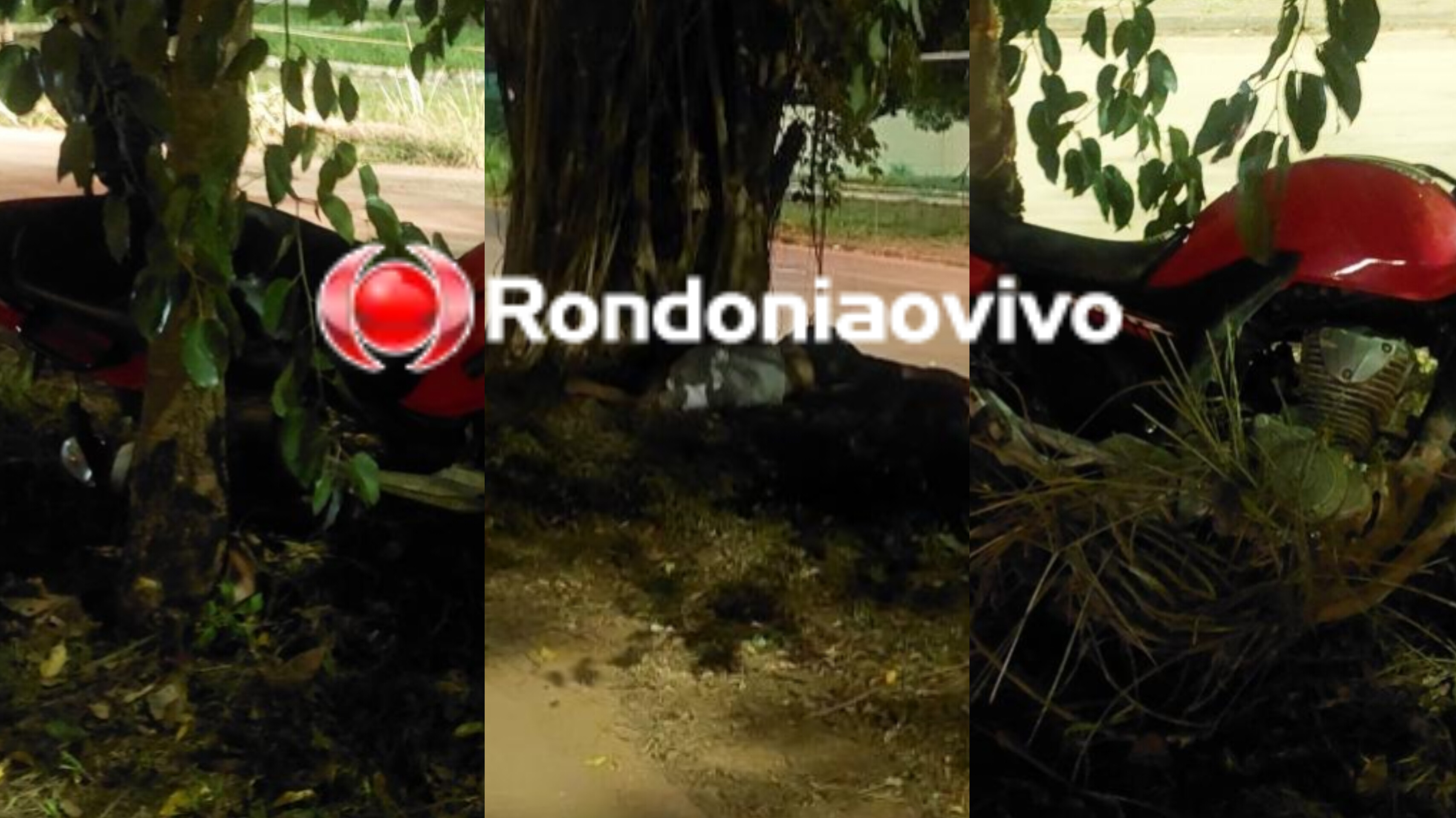 ESTADO GRAVE: Motociclista fica inconsciente após bater contra árvore no canteiro central 