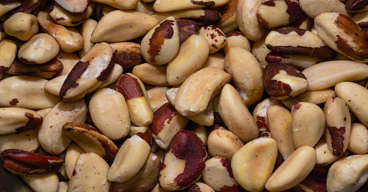 SAFRA 2022: Preços mínimos para produtos são atualizados