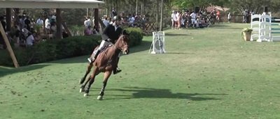 Brasil terá cavalo nacional na Olimpíada pela primeira vez em 16 anos
