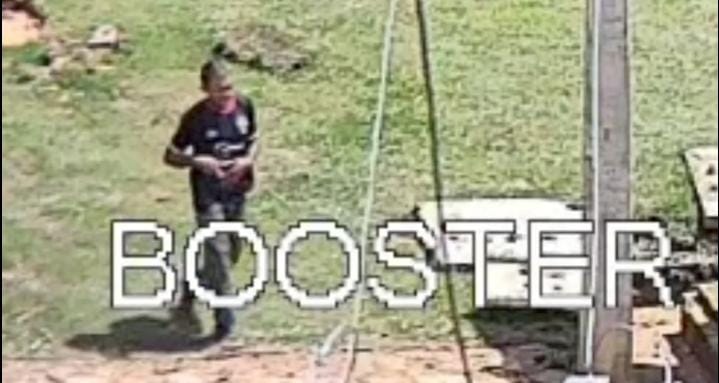 VÍDEO: Ladrões de fios e cabos da Caerd são flagrados durante ação criminosa 