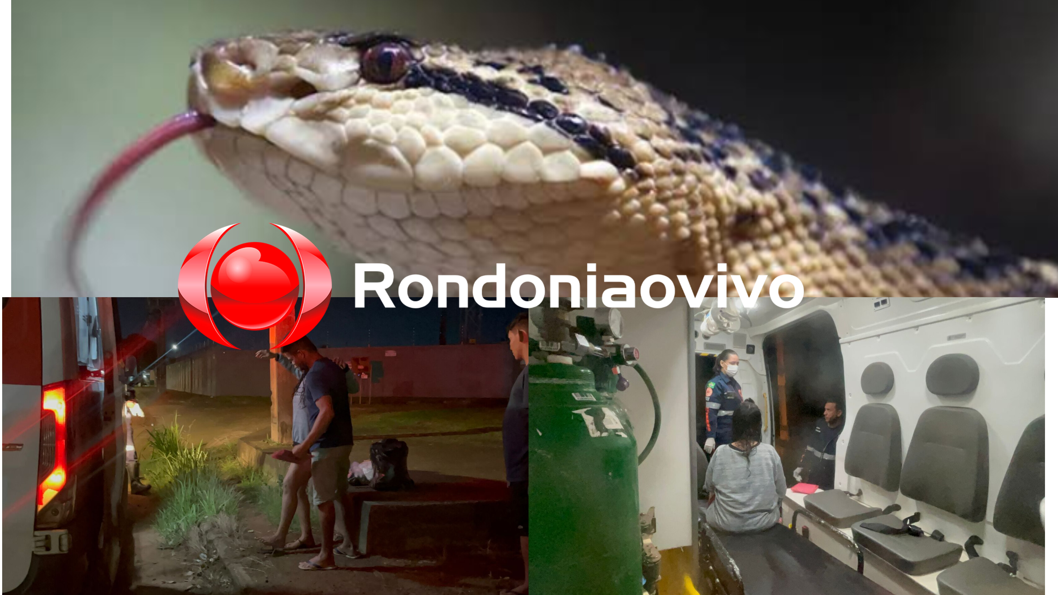 URGENTE: SAMU é acionado após mulher ser atacada por cobra enquanto caminhava na rua