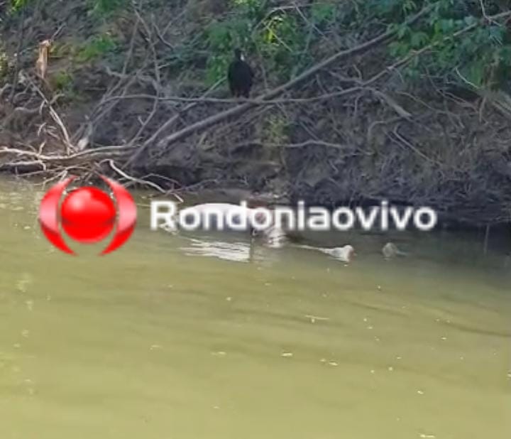 URGENTE: Corpo é encontrado nas margens do rio Candeias 