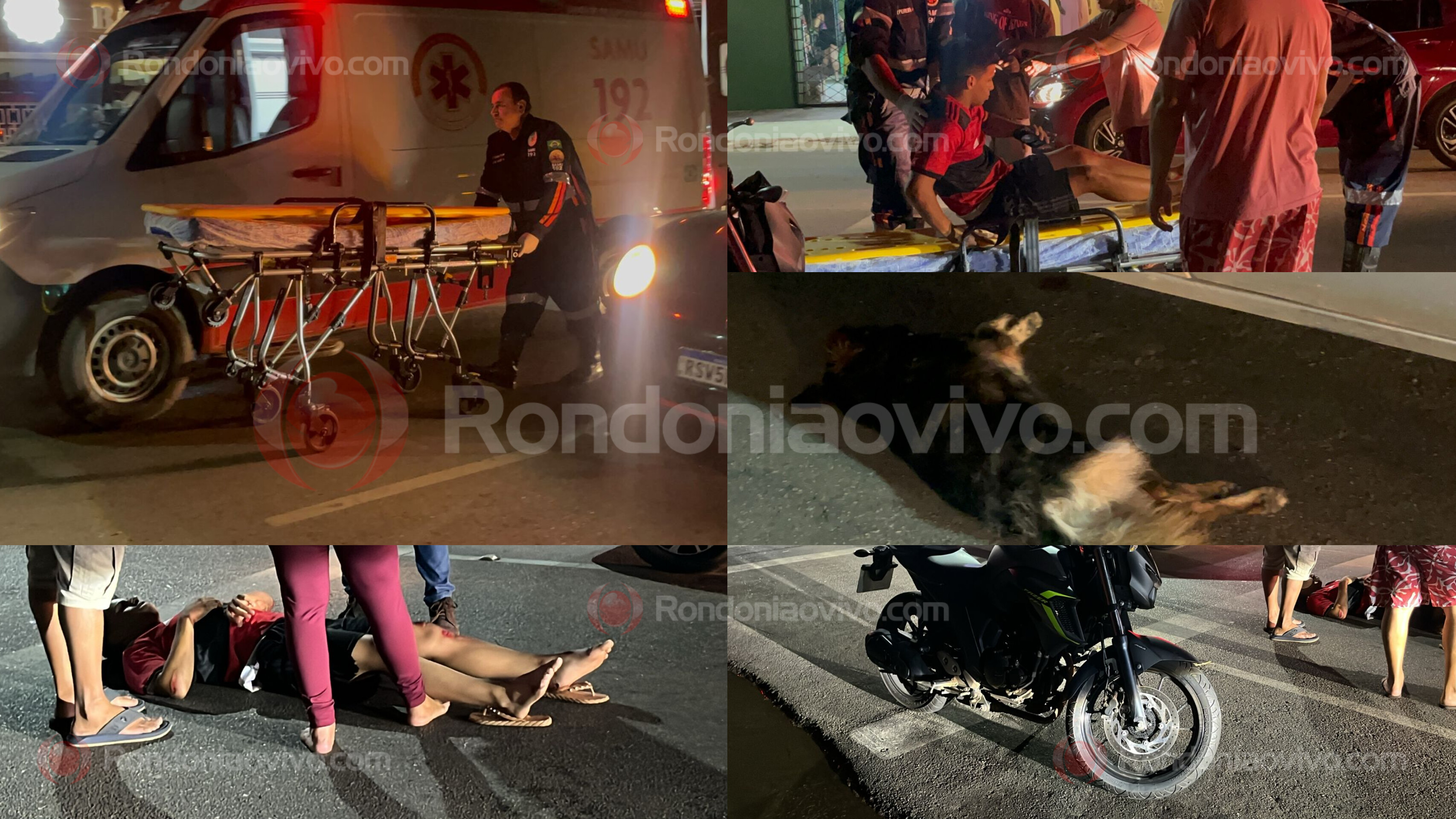 URGENTE: Motociclista sofre grave queda após atropelar e matar cachorro 