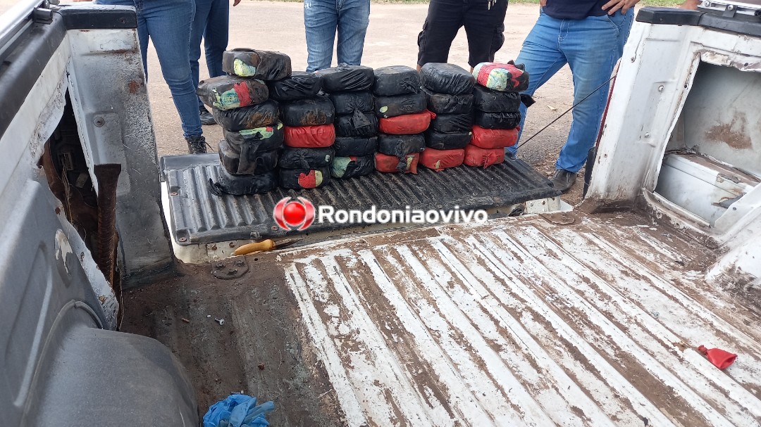 VÍDEO: Denarc apreende carro 'recheado' de cocaína em transportadora