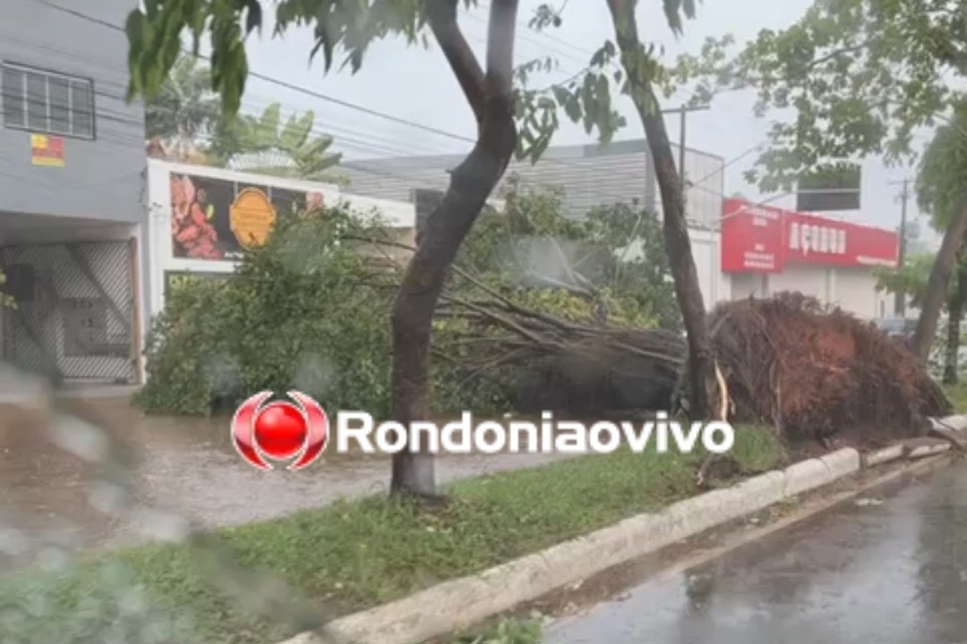 VÍDEO: Temporal deixa rastro de destruição e prejuízos em Porto Velho