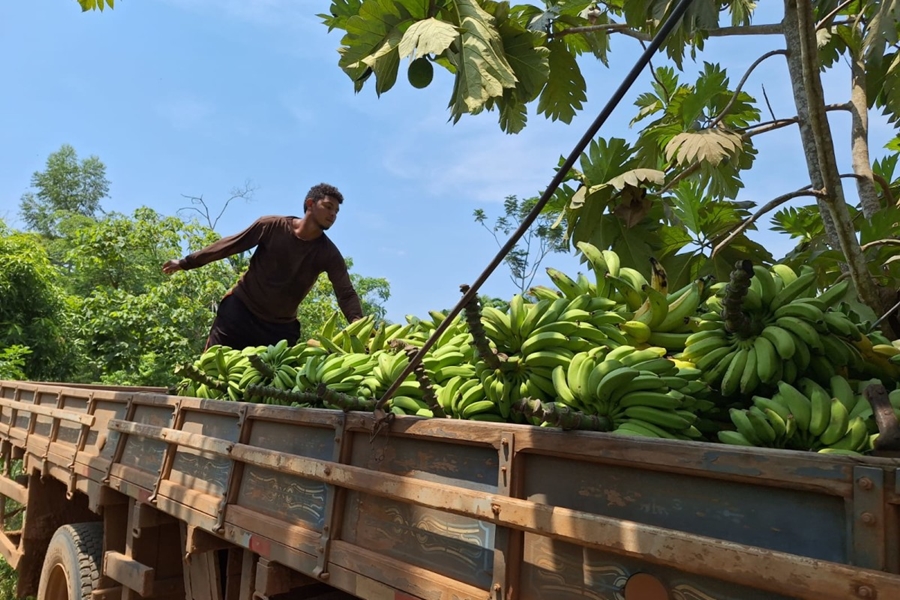 PORTO VELHO: Recadastramento de associações cooperativas e entidades ligadas ao campo 