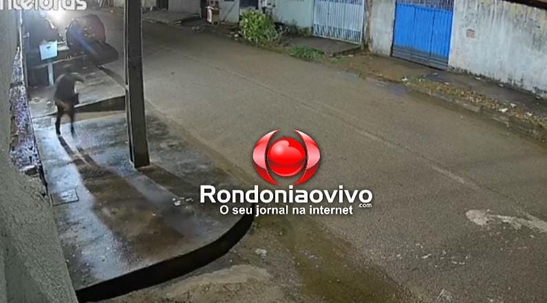 VÍDEO: Ladrão diz que vai comprar IPhone de jovem, mas sai correndo com telefone