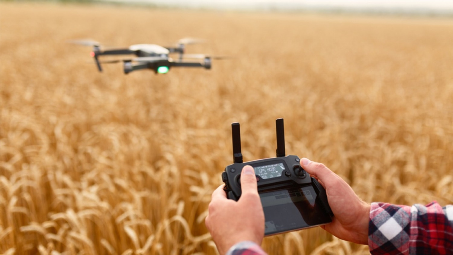 DESENVOLVIMENTO: Projetos-piloto de tecnologias 4.0 no agro serão selecionados