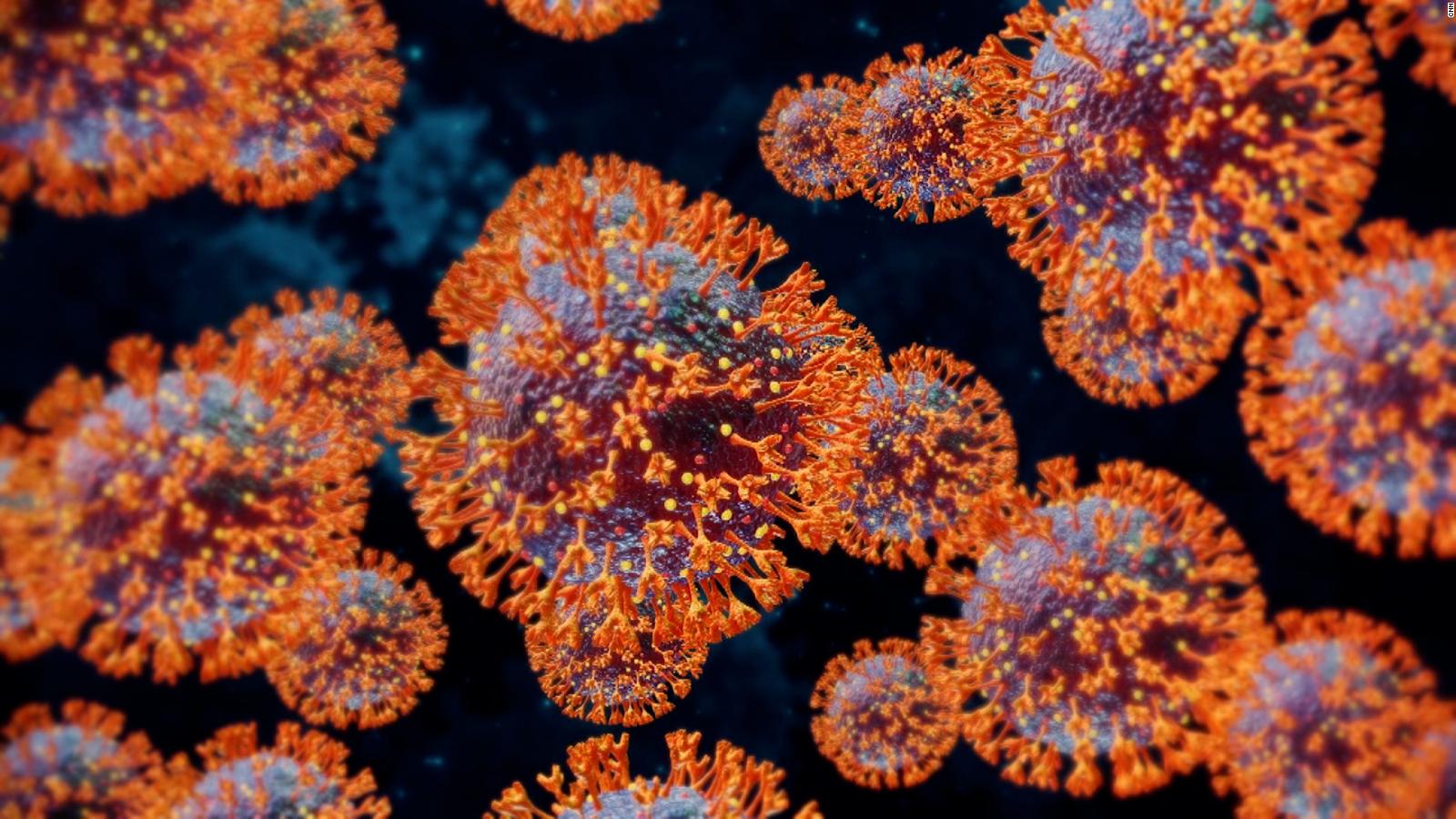 BOLETIM DIÁRIO: Rondônia registra quatro mortes por covid-19 e quase 600 casos