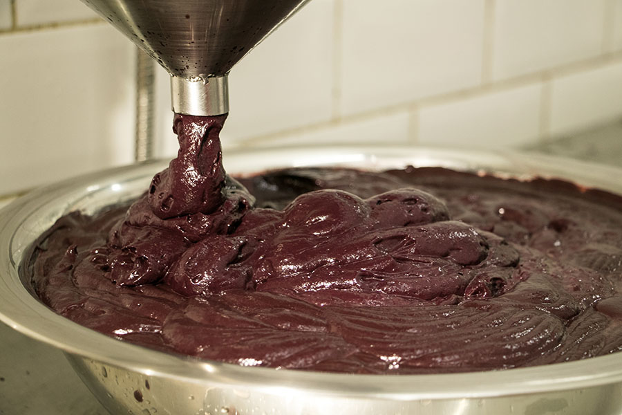 AUMENTO DE PRODUÇÃO: Açaí-solteiro com alta qualidade aumenta a produção regional   