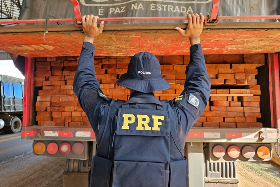 CRIME AMBIENTAL: PRF apreendeu mais de 88 m³ de madeira transportada irregularmente