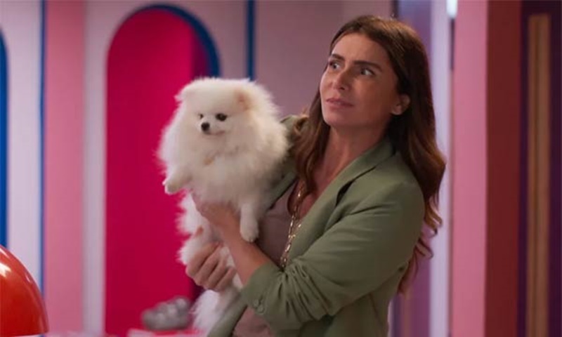 NOVELAS: Confira o resumo dos capítulos deste sábado (26)