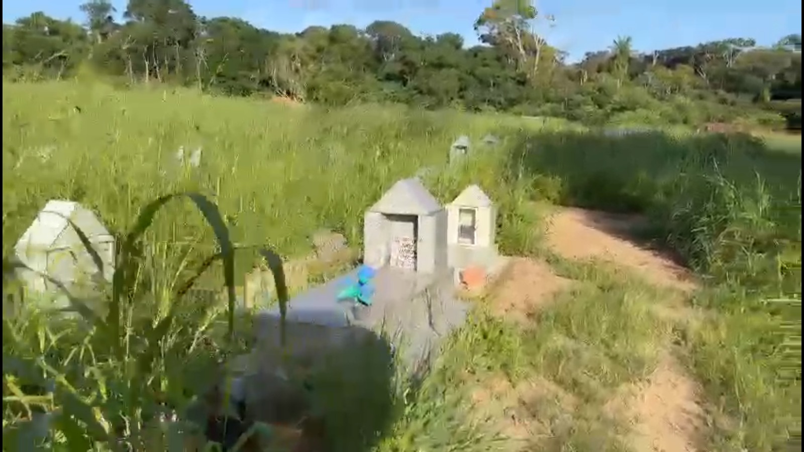 ABANDONO: Cidadão reclama de desleixo na conservação do Cemitério Santo Antônio 