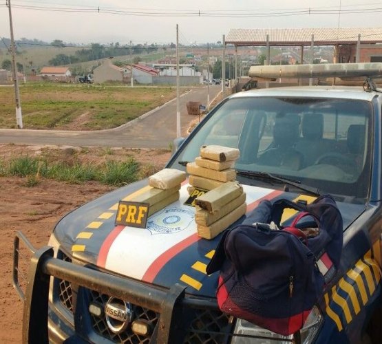 PRF e PC flagram jovem transportando cerca de 11 quilos de maconha