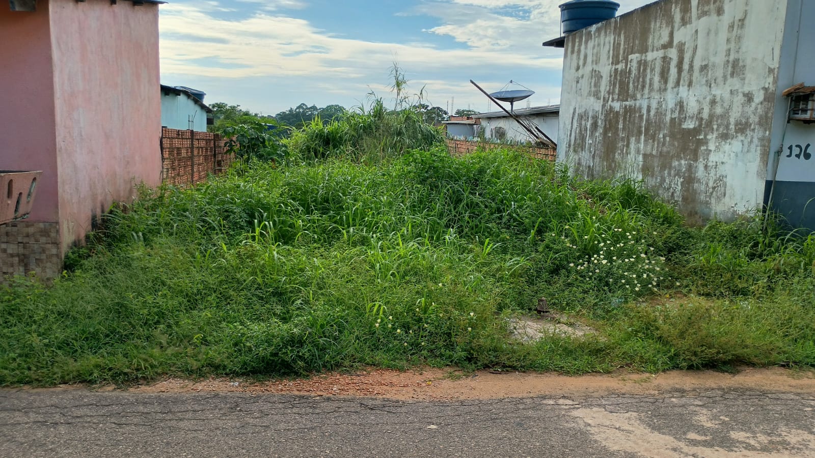 PEDIDO DE PROVIDÊNCIA: Moradores da zona Sul pedem limpeza de terreno insalubre