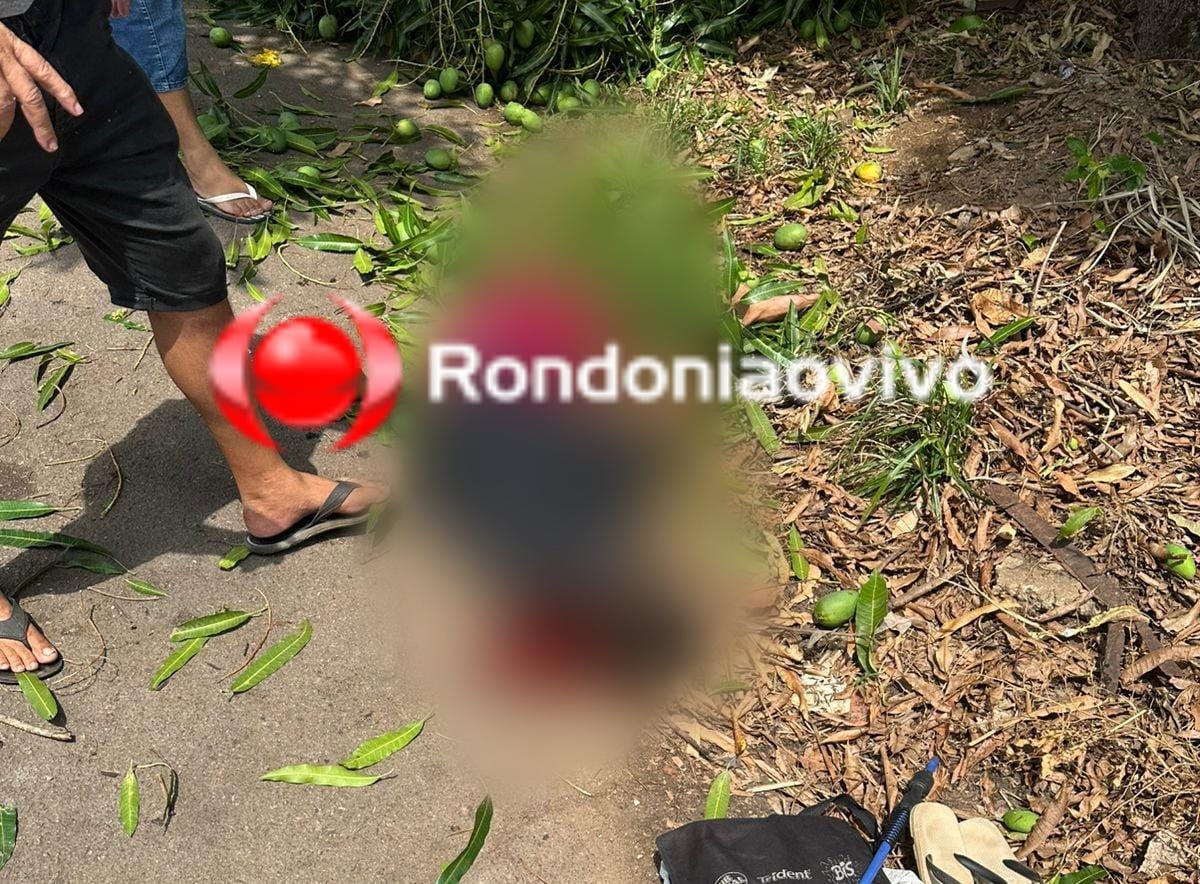 URGENTE: Morre homem que caiu de pé de manga em Porto Velho 