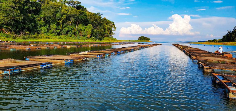 QUALIFICAÇÃO: AgroResidência abre primeiro edital para seleção de projetos da aquicultura