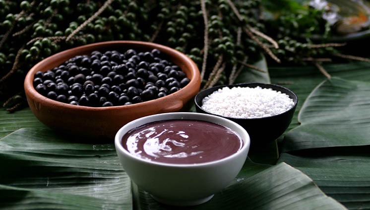 CORAÇÃO E MEMÓRIA: Açaí é o remédio completo que nasce da floresta