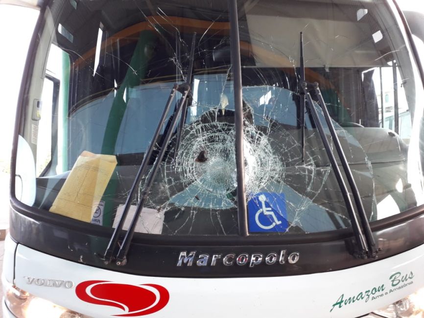 IMPACTO: Pássaro atinge ônibus da Eucatur e quase causa tragédia