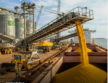 IMPACTO DIRETO: Aumento das exportações de soja acelera desmatamento na Amazônia