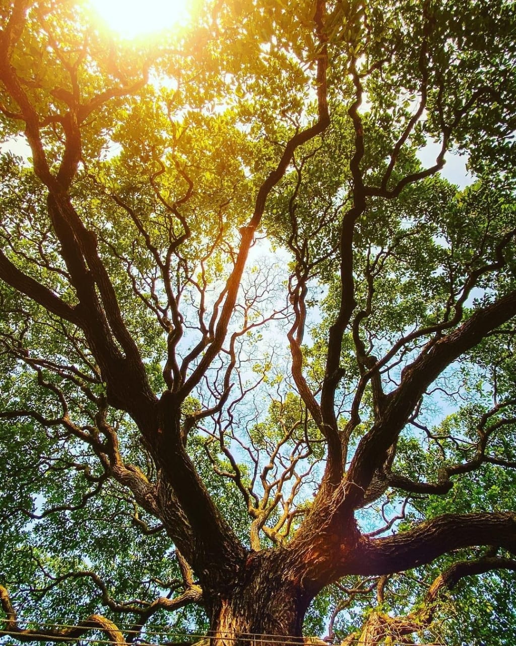 Fraternidade para todos - Por Domingues Júnior