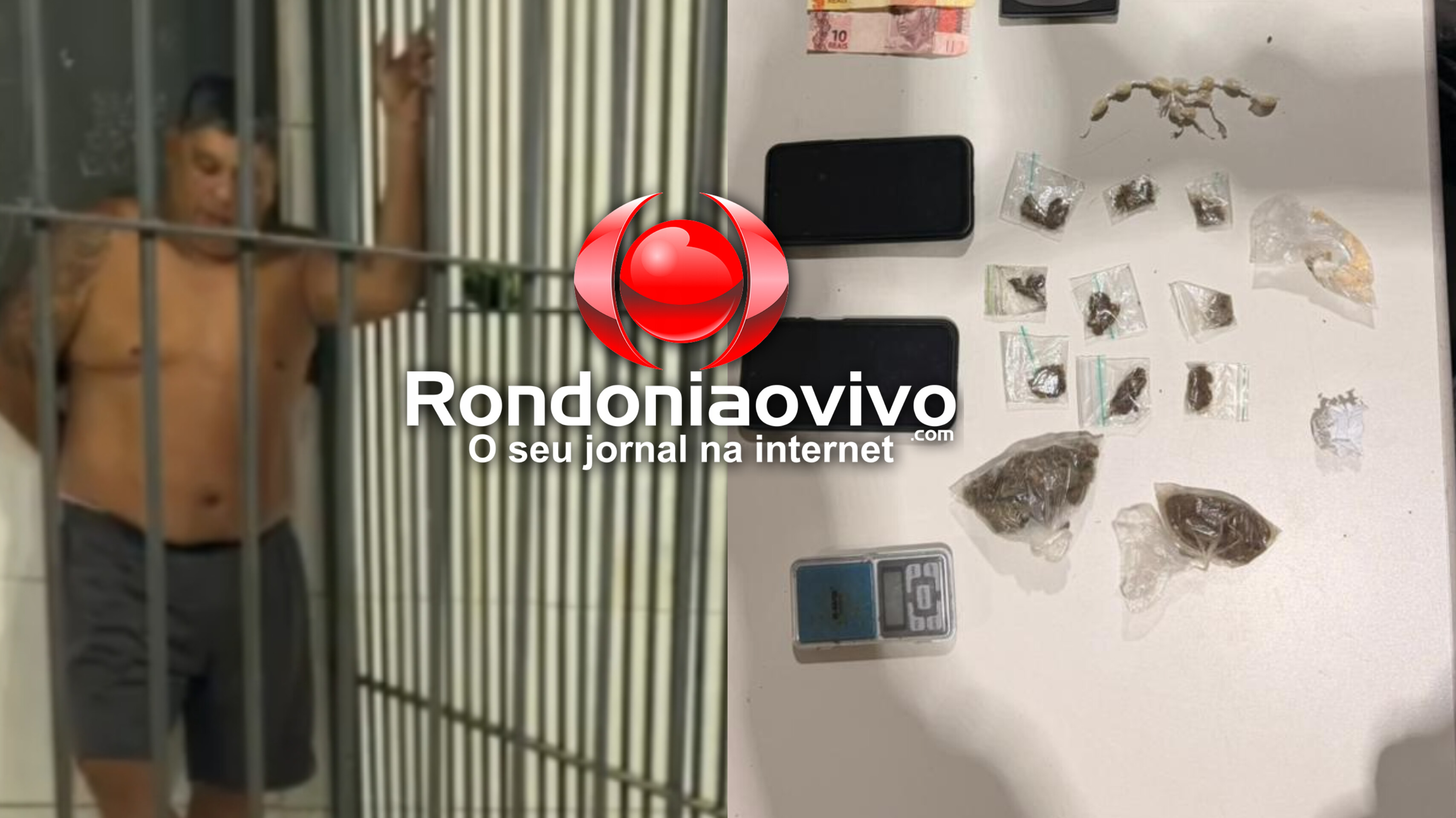 VÍDEO: PM usa cão farejador, encontra drogas em casa e prende traficante