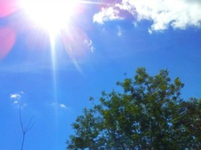 TEMPO – Calor e ar seco em todo estado
