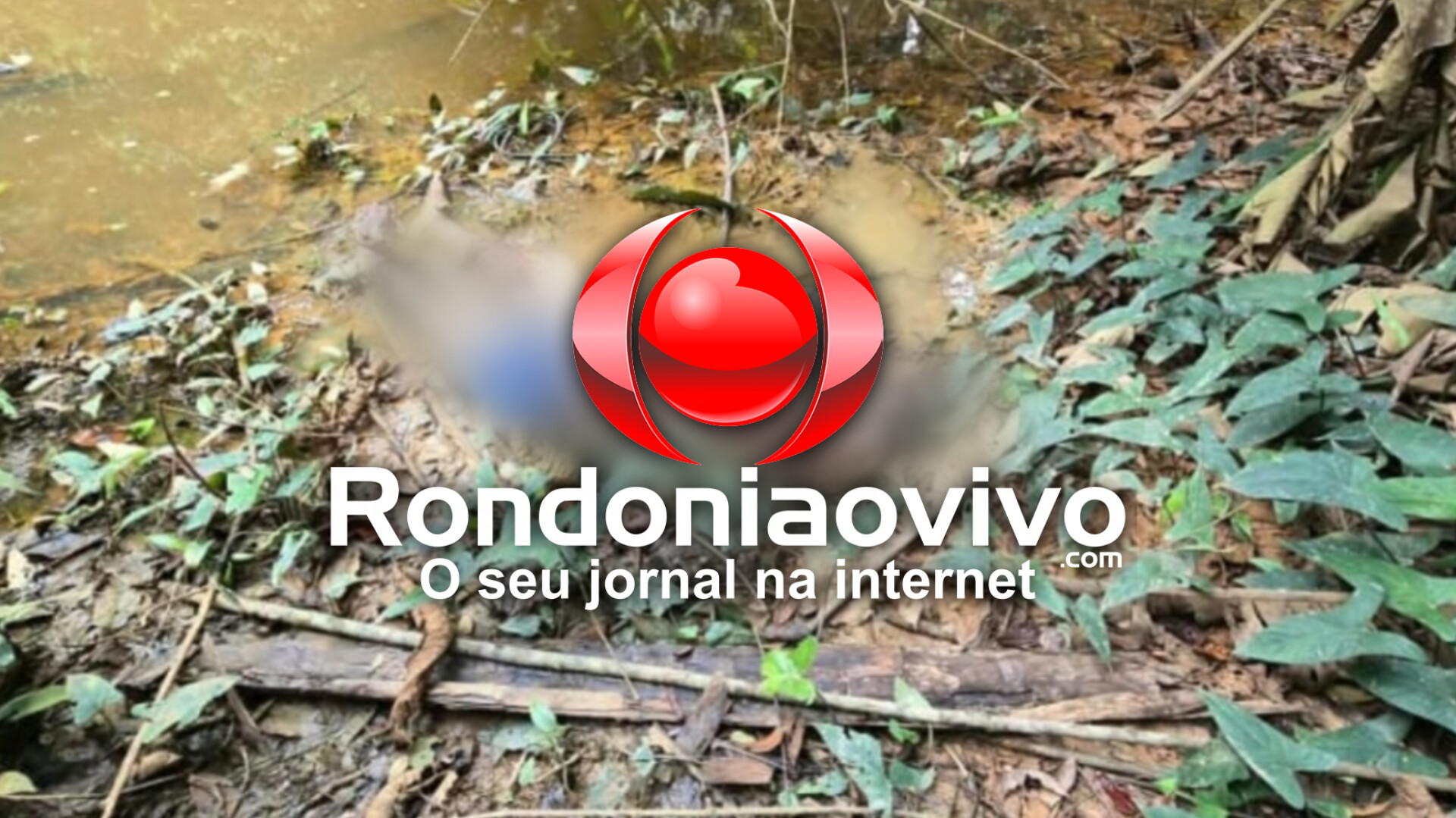 URGENTE: Homem amarrado é encontrado morto com tiros na cabeça na beira de córrego