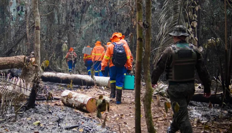 DESCONFIÁVEL: Rondônia e outros estados falham em dados sobre crimes ambientais