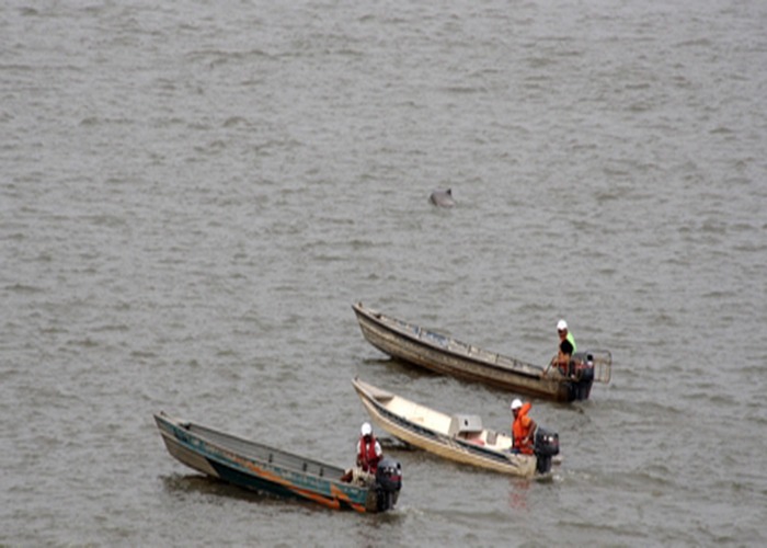 CORRIDA DE VOADEIRAS: ‘Desafio Rio Madeira Extreme’ está com inscrições abertas 