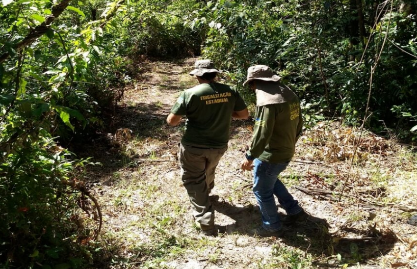 GÓIAS: Abertas as inscrições de concurso para técnico e analista ambiental