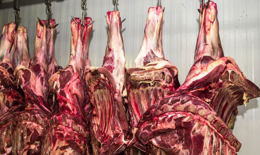 MERCADO: Abate de bovinos no Brasil volta a crescer após dois anos de queda