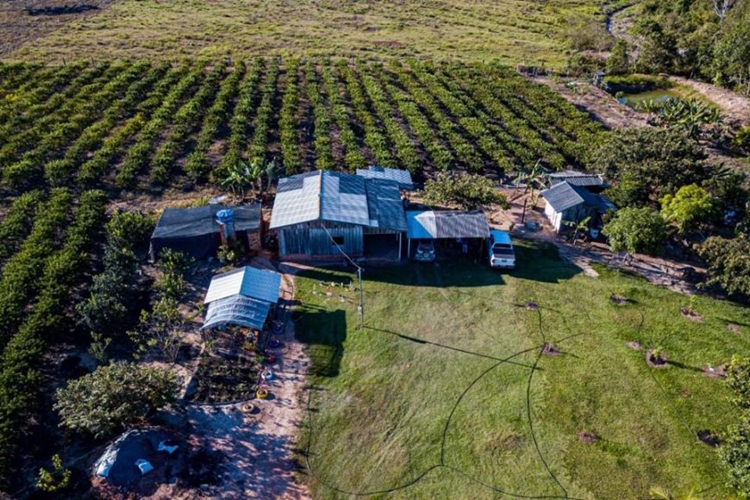 CAMPO: Governo de RO deve investir mais de R$ 6 milhões na agricultura familiar