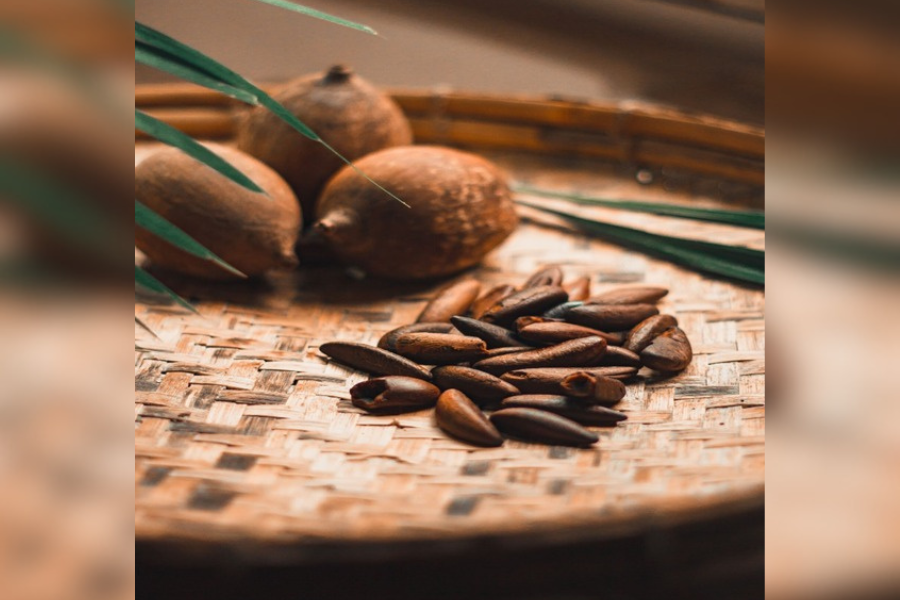 SABORES ÚNICOS: Ingredientes amazônicos conquistam a indústria brasileira pelo diferencial 