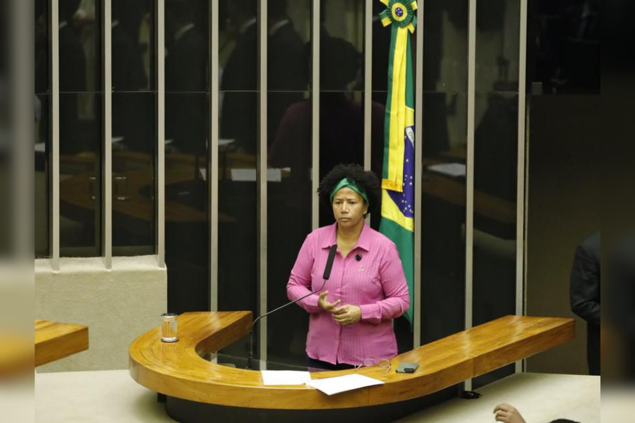 TERRAS DOCUMENTADAS: Deputada Sílvia Cristina critica queima de casas e currais em desintrusão