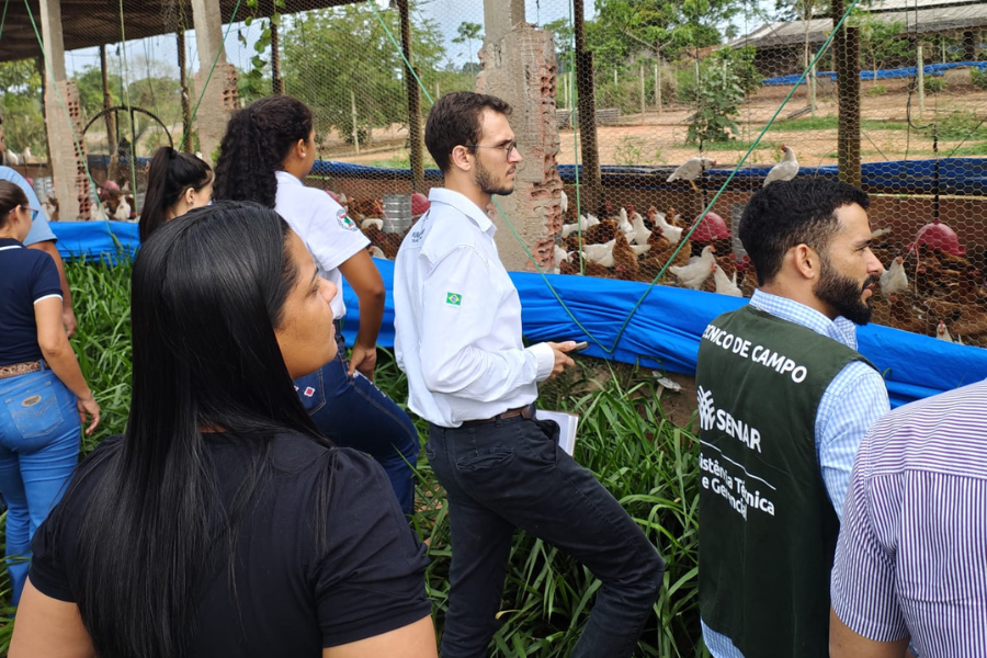 FAPERON/SENAR: Dia de Campo em Ji-Paraná fortalece a avicultura em Rondônia