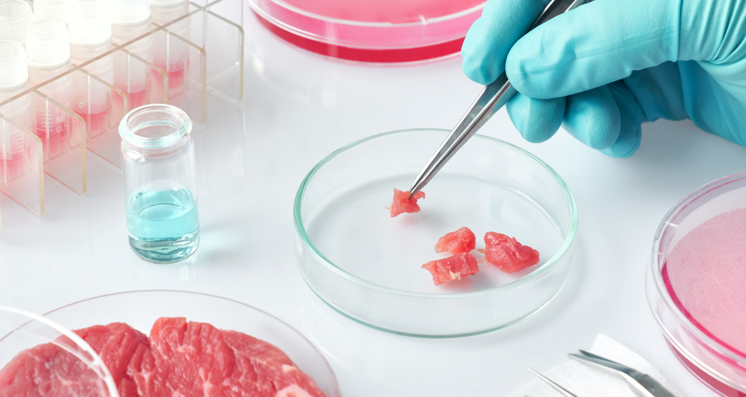 NOVO SABOR: Carne criada em laboratório já pode ser produzida e vendida nos EUA