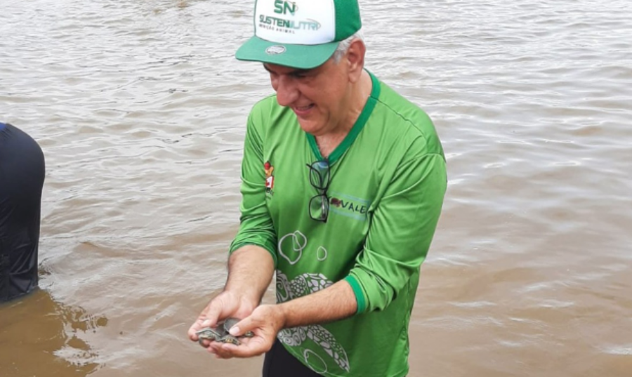 RIO GUAPORÉ: Projeto apoiado pelo Grupo Rovema realiza soltura de 20 mil quelônios
