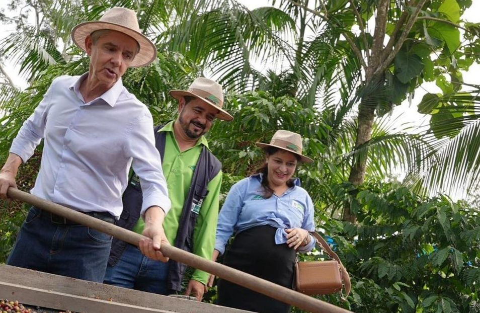 JAIME BAGATTOLI: PL do senador busca destinar os valores de multas para a agricultura familiar