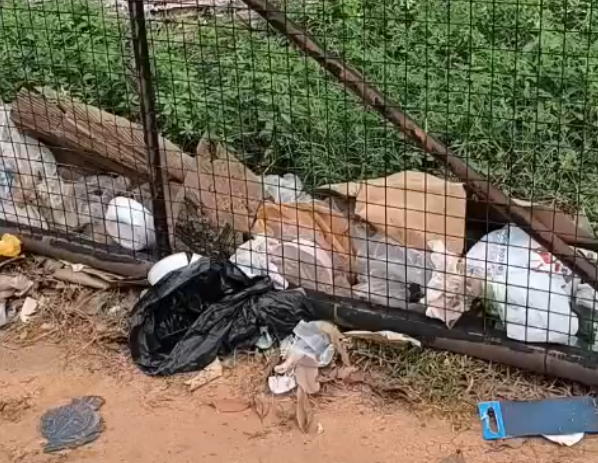 PEDIDO DE PROVIDÊNCIA: Parque dos Tanques segue com acúmulo de lixo 11 dias após o encerramento da Flor do Maracujá