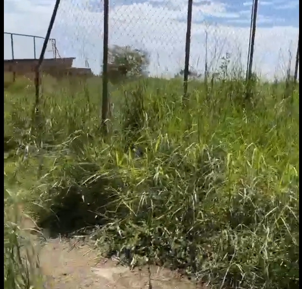PEDIDO DE PROVIDÊNCIA: Moradores do Orgulho do Madeira pedem limpeza de praça desportiva