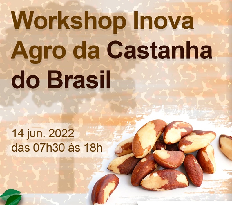INOVA AGRO: Cadeia produtiva da castanha tem workshop do Sebrae e parceiros