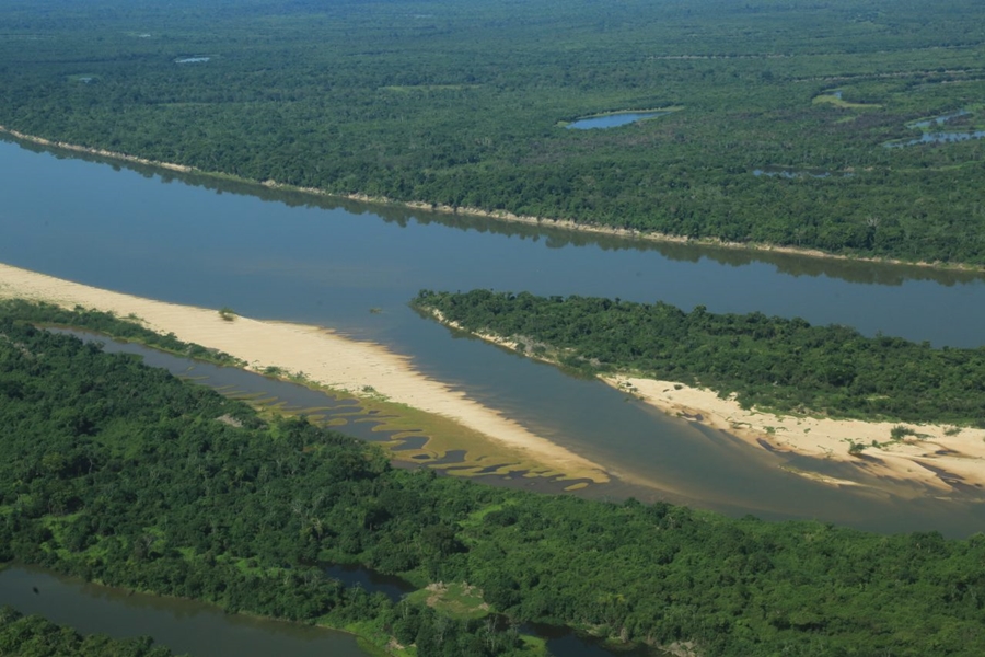 ASL BRASIL: Programa busca recuperar vegetação nativa e conservação dos ecossistemas
