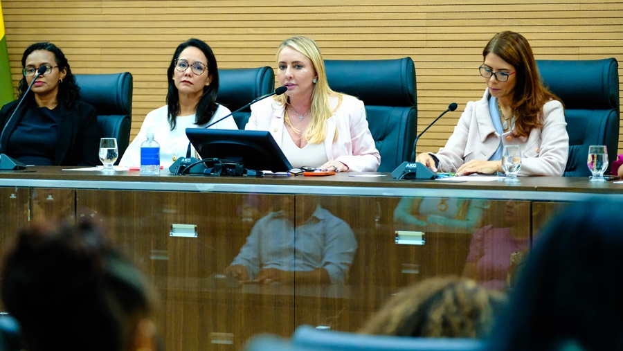 DEPUTADA: Ieda Chaves encaminha estratégias de políticas públicas às mulheres vulneráveis 