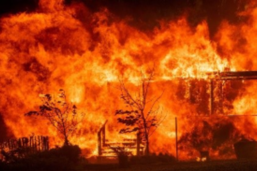 INOVAÇÃO: Brasileiras criam retardante biológico contra incêndios florestais  