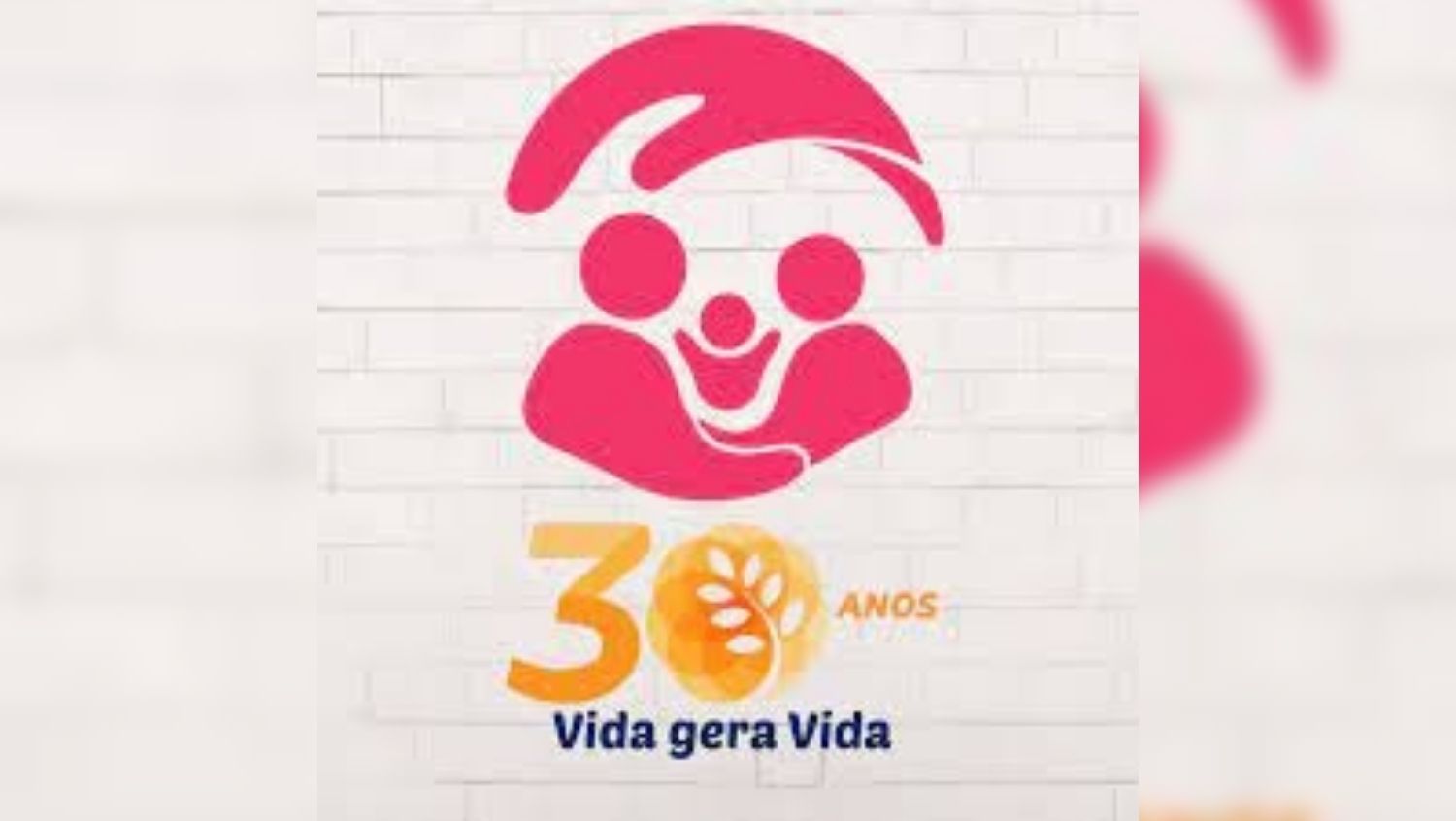 SOMOSTODOSROSETTA: Casa Rosetta lança campanha de arrecadação para continuar atendimentos