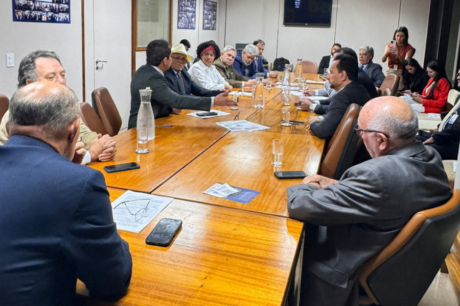 PEC 47 DA TRANSPOSIÇÃO: Deputada Sílvia Cristina diz que bancada do Norte está unida pela aprovação 