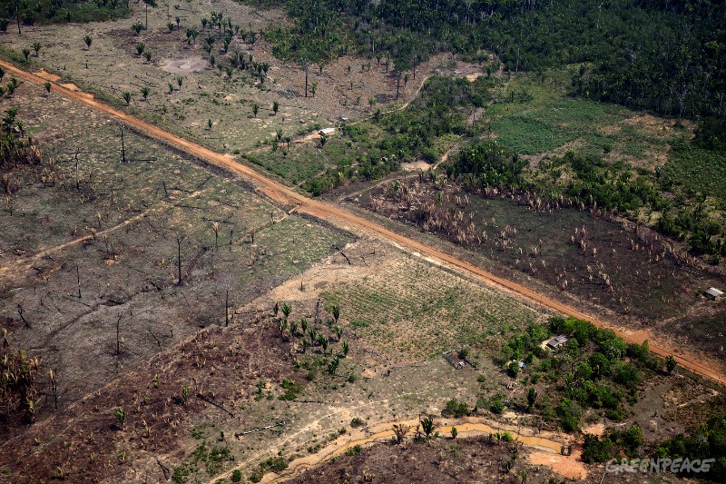 BOA NOTÍCIA: Rondônia registra menor taxa de desmatamento dos últimos 10 anos